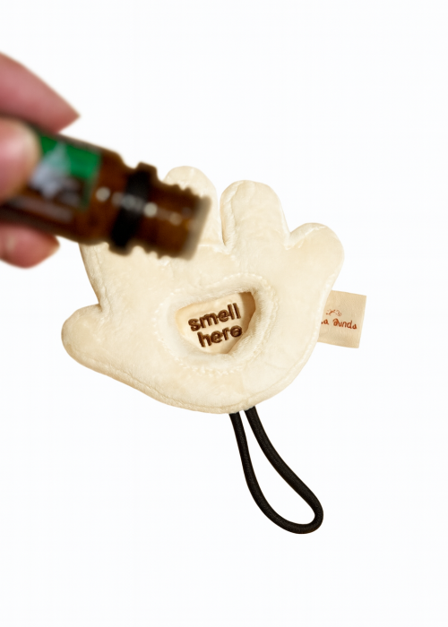 Photo 23-11-2025, 20 36 50